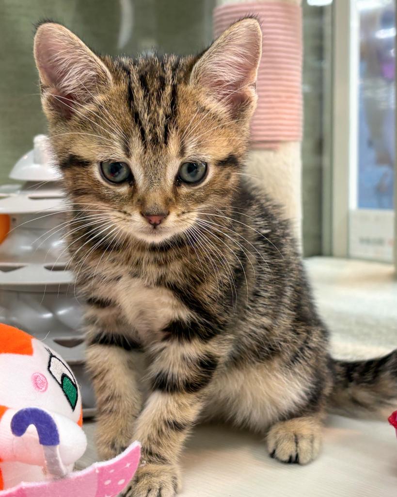 One Do Group