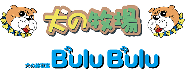 犬の美容室 Bulu Bulu