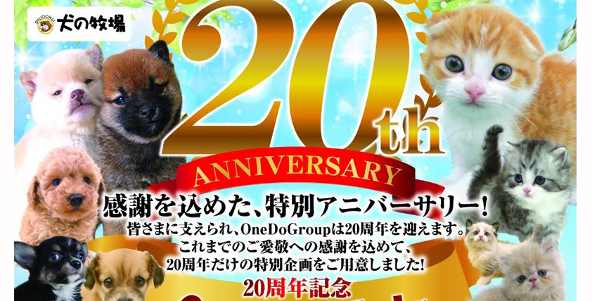 【今月のチラシ】犬の牧場店 - ONE DO GROUP