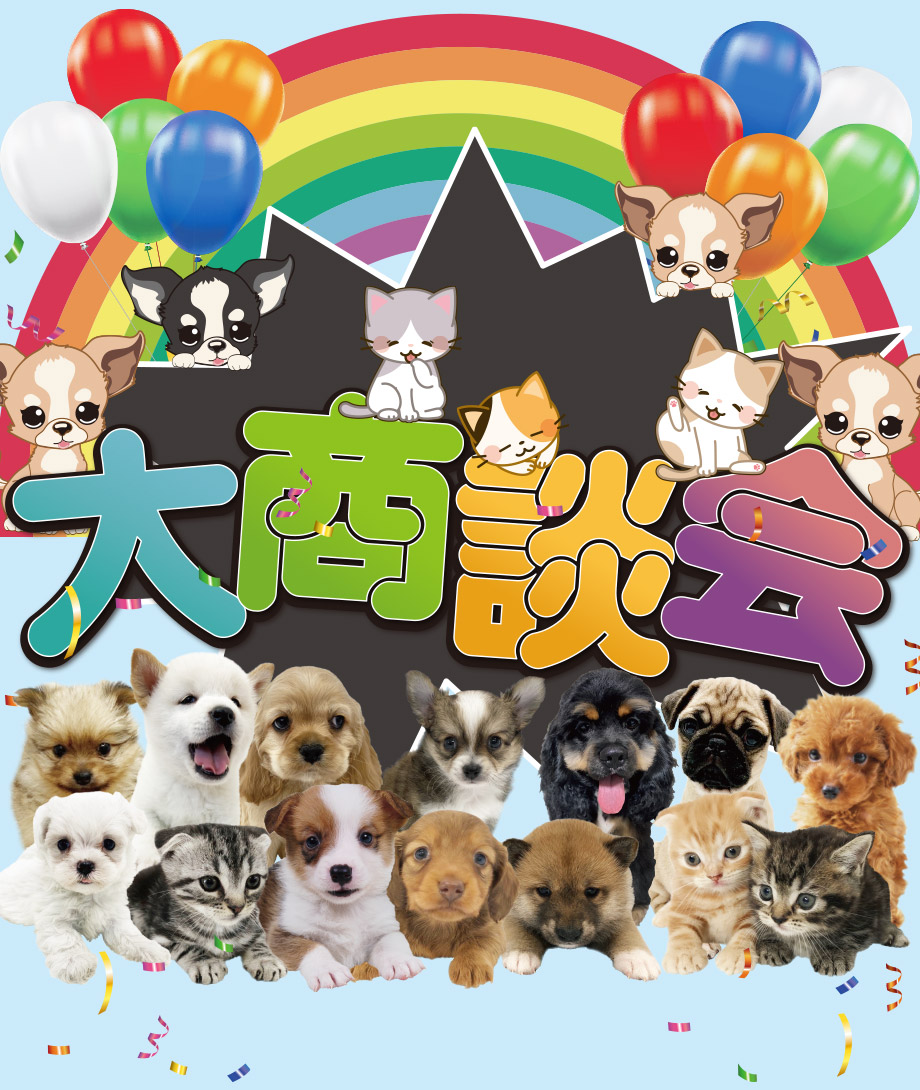 OneDo Group - One Buddy