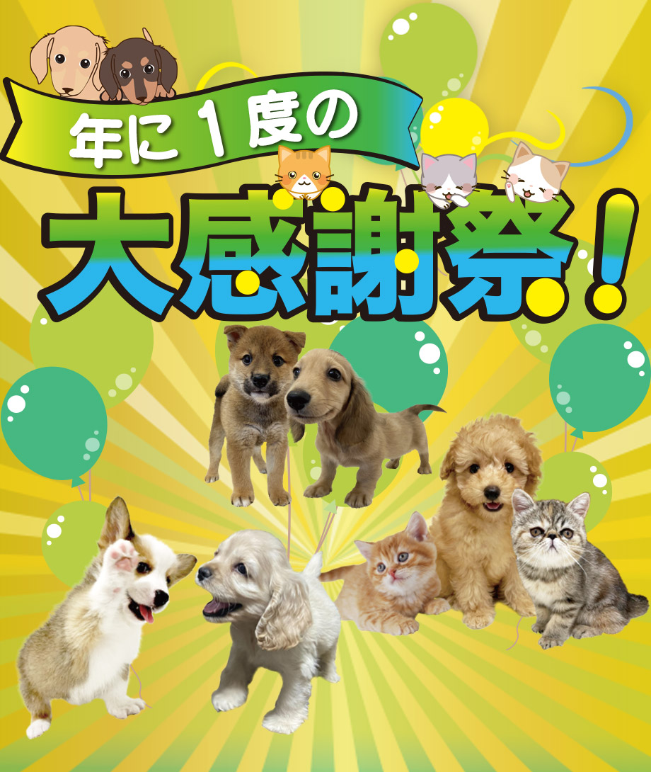 OneDo Group - One Buddy