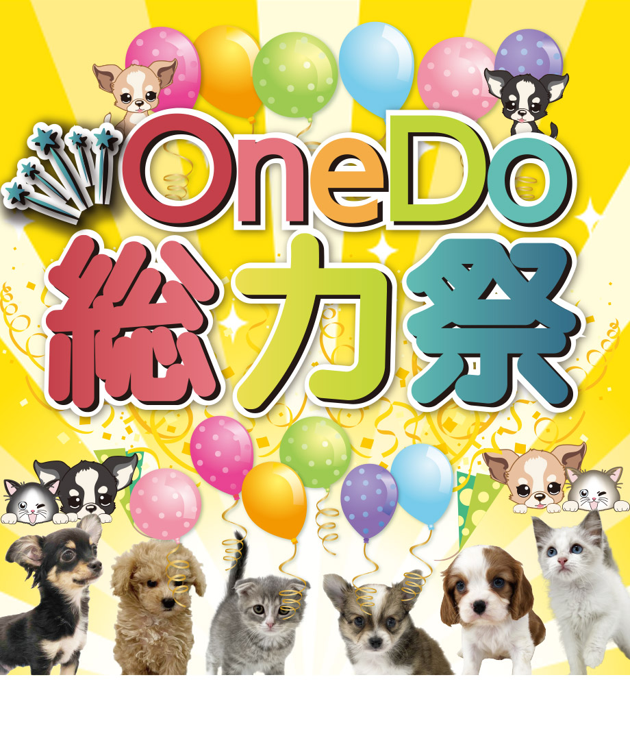 OneDo Group - One Buddy