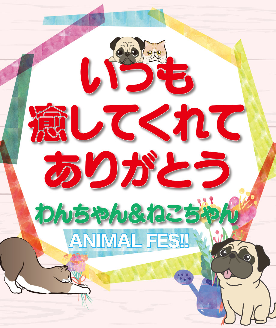 OneDo Group - One Buddy