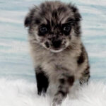 【今月のチラシ】OneBuddy水戸南店 - ONE DO GROUP