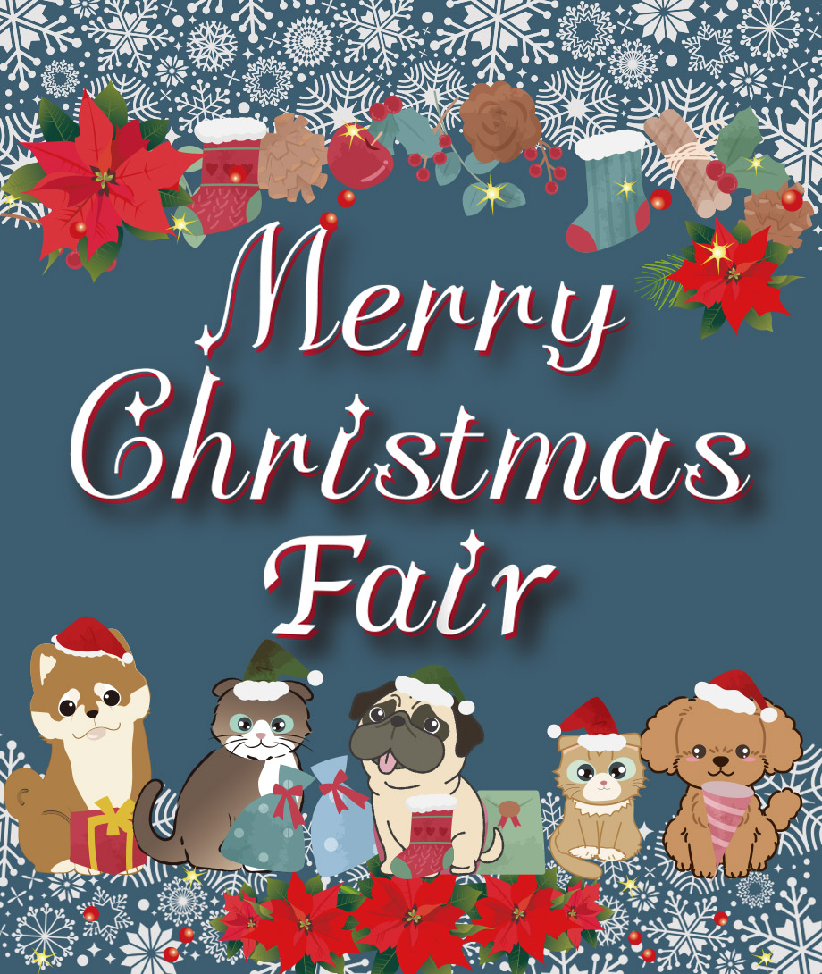 OneDo Group - One Buddy