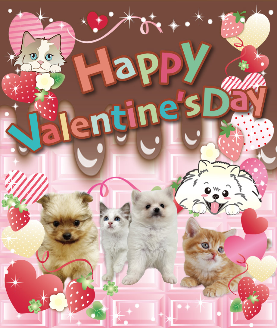 OneDo Group - One Buddy