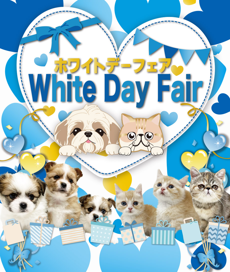 OneDo Group - One Buddy