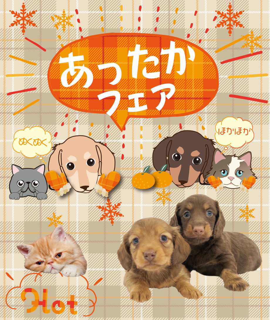 OneDo Group - One Buddy