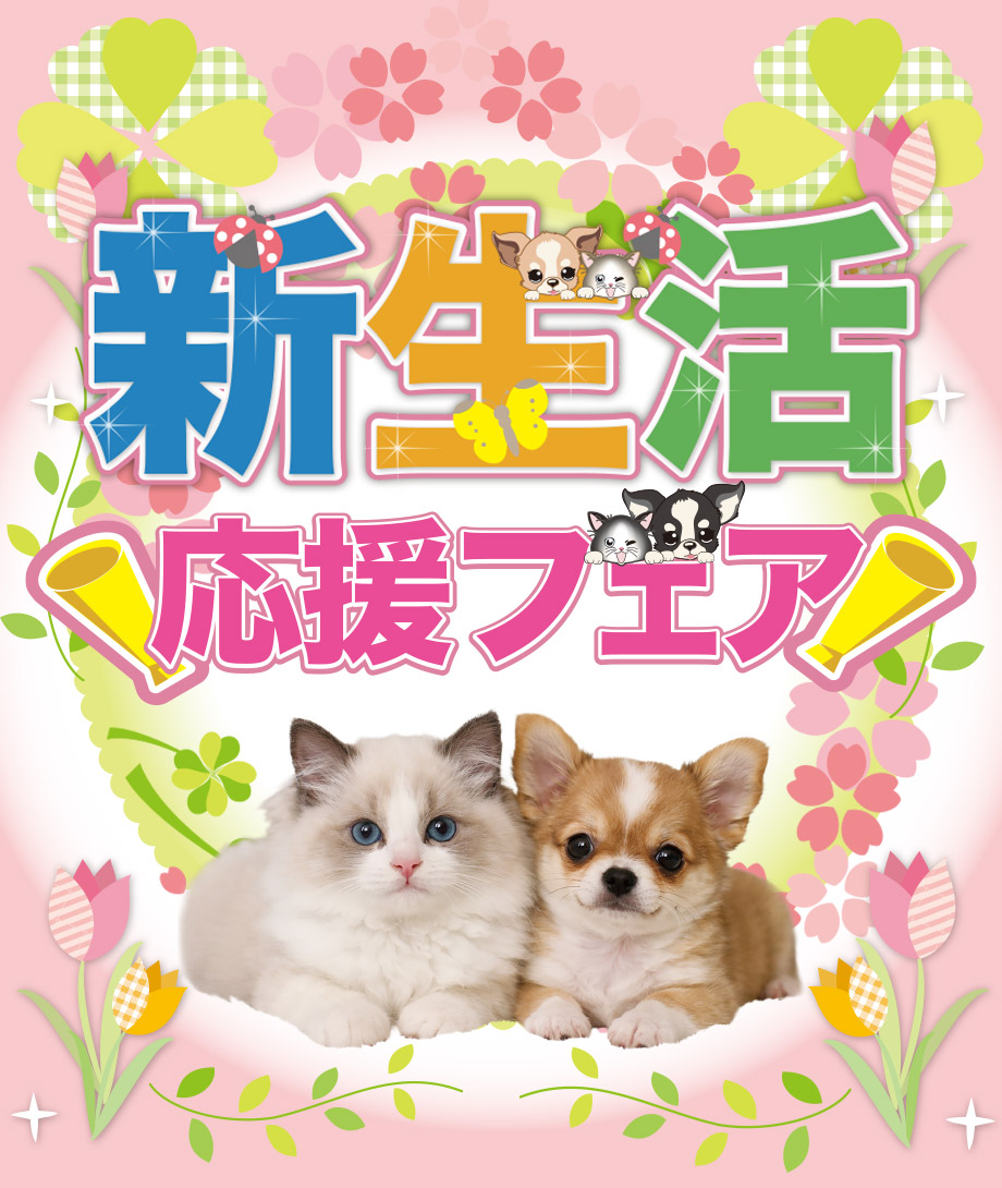 OneDo Group - One Buddy