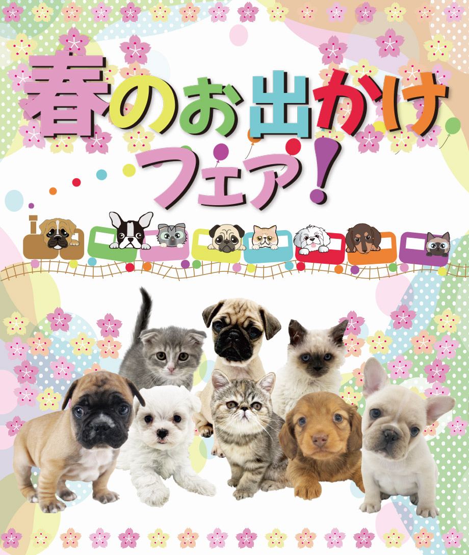 OneDo Group - One Buddy