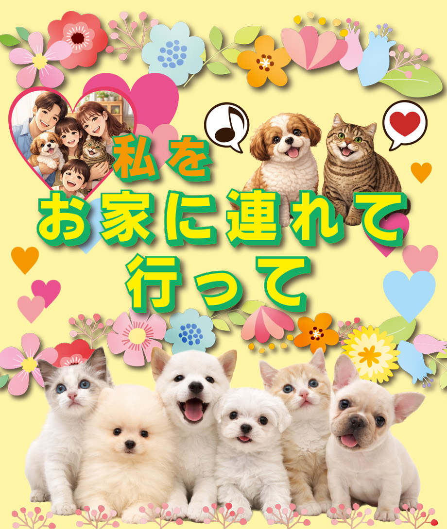 OneDo Group - One Buddy