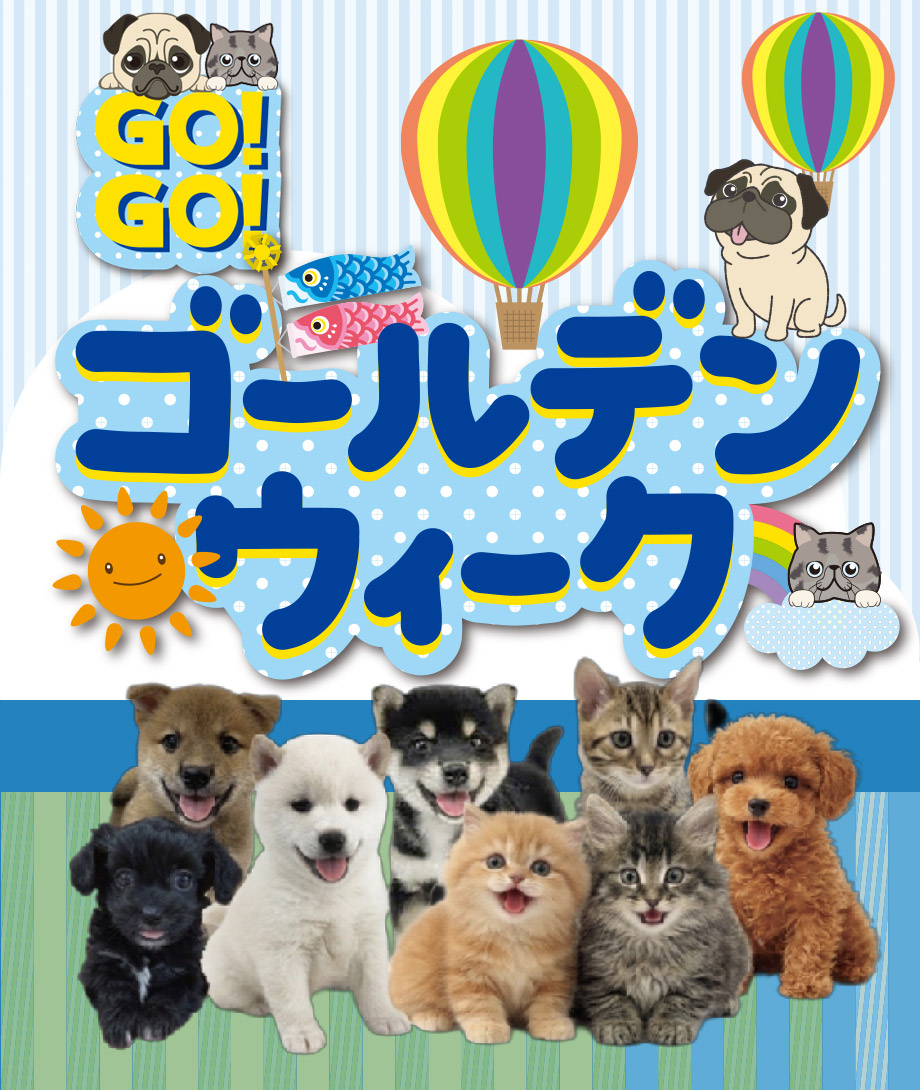 OneDo Group - One Buddy