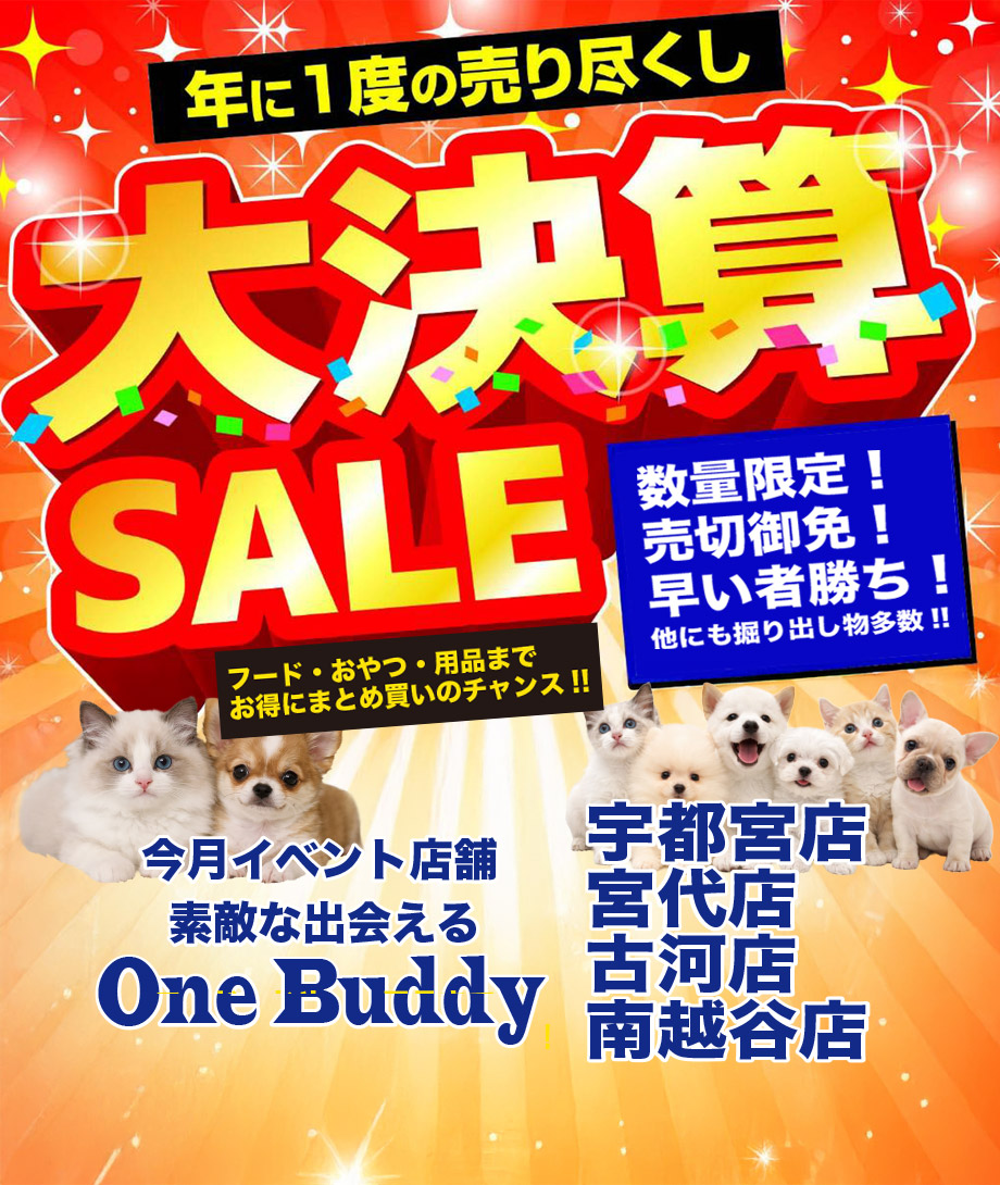 OneDo Group - One Buddy