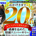【今月のチラシ】OneBuddy宇都宮店 - ONE DO GROUP