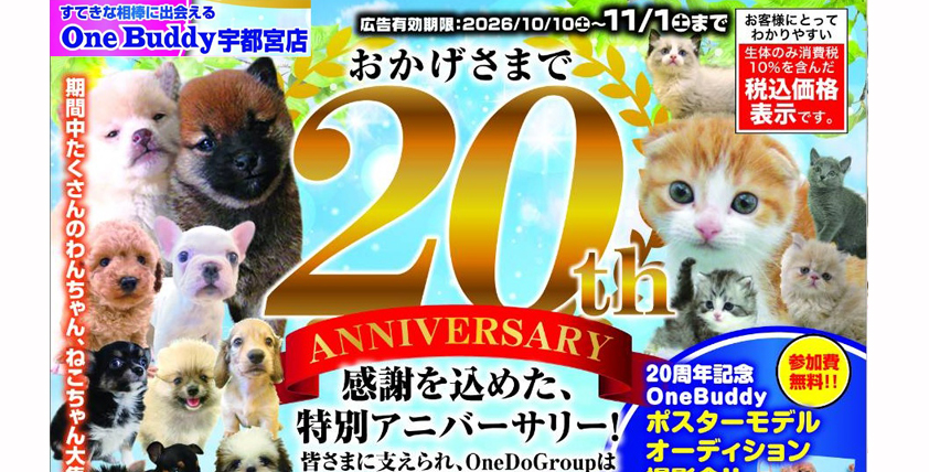 【今月のチラシ】OneBuddy宇都宮店 - ONE DO GROUP