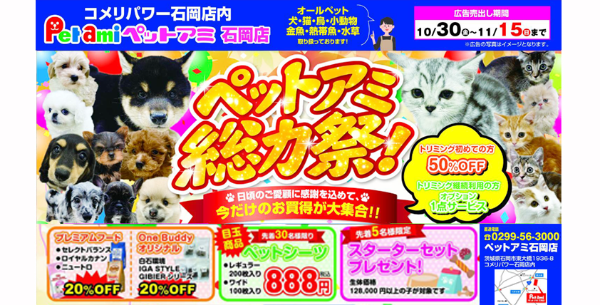 【今月のチラシ】ペットアミ石岡店 - ONE DO GROUP